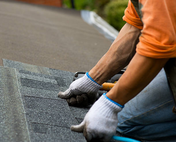Best Storm Damage Roof Repair  in Blue Hills, CT
